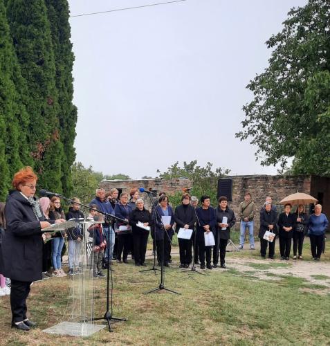 242612471 2553201558144026 7148986282334667037 n-977x1024