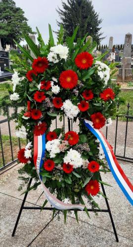 242616628 2553202321477283 8903042088546136353 n