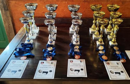 463962794 529096206758805 2655876493434753077 n (1)