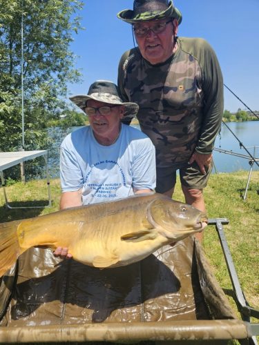 500364844 711144191887338 4092616325223352689 n